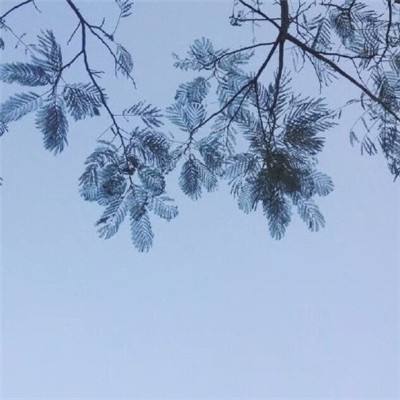 宝宝学拼音字母表儿童启蒙教育游戏下载